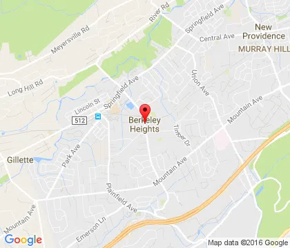 logo-image - BerkeleyHeights-NJ